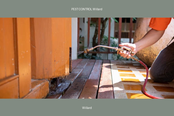 PEST CONTROL Willard